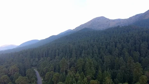 Drone fly over the Mexican Forest the Ajusco with pine trees and mountains Video stock 96670503