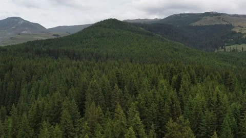 Drone fly over a mountain river and a pine tree forest in Bucegi Mountains 스톡 동영상 136520447