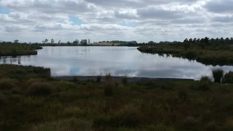 Drone Fly over Native Wetland Beautiful Lake Vista Stock Footage 201177395
