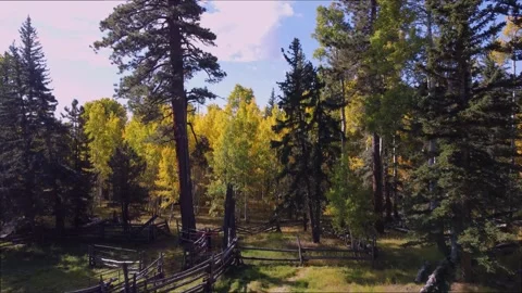 Drone Fly Over Of Old Ranch House At Fall Time On Kaibab Plateau In Arizona Stock Footage 339290782