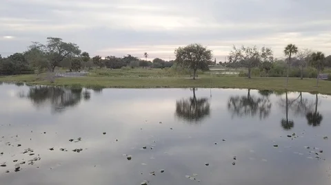 Drone Fly over Park With Lake Tree Reflection Stock Footage 104482804