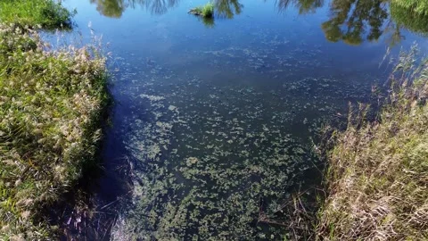 Drone Fly Over of a Pond in Parc de la Mitjana Stock Footage 286051149