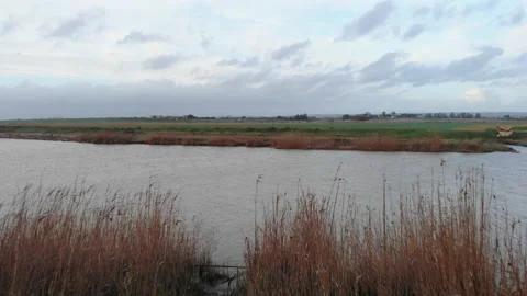 Drone fly over a river in italy during winter session Stock Footage 148503049