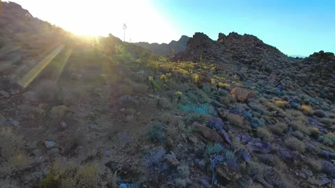 Drone fly over rocky  Desert Mountain at Sunrise 스톡 동영상 146472092