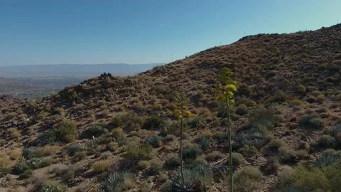 Drone fly over rocky  Desert Mountains 스톡 동영상 148508697