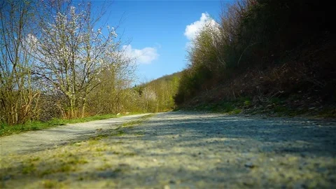 A drone fly over a small path in a forest Stock Footage 144888786