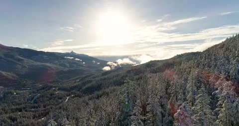 Drone Fly Over Snow Covered Trees And Winter Landscape On A Sunny Day Video stock 100470527