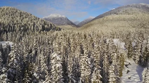 Drone Fly Over Snowy Mountains And Trees On A Sunny Day Video stock 78106929