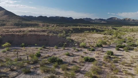 Drone Fly Over Of Sonoran Desert Landscape Near Mesa, AZ Stock Footage 339296001