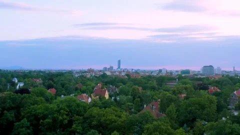 Drone fly over suburban treetops to distant city skyline at dusk Stock Footage 312593114