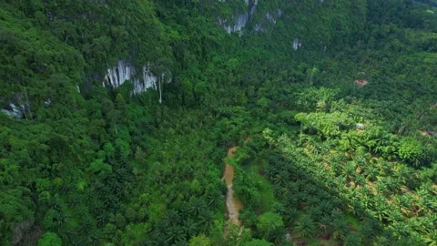 Drone fly over tropical forests, mountains on the sides Stock Footage 201907257
