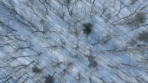 Drone Fly Over Winter Snowy Landscape Stock Footage 255751071