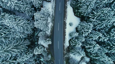 Drone fly over winter snowy asphalt road in forest Video stock 269501854