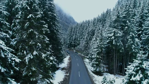 Drone fly over winter snowy asphalt road in forest Stock Footage 276409338