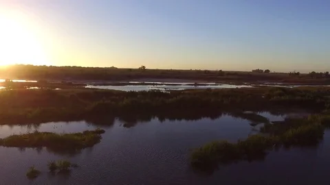 DRONE FLY PAST MARSH Stock Footage 73940778