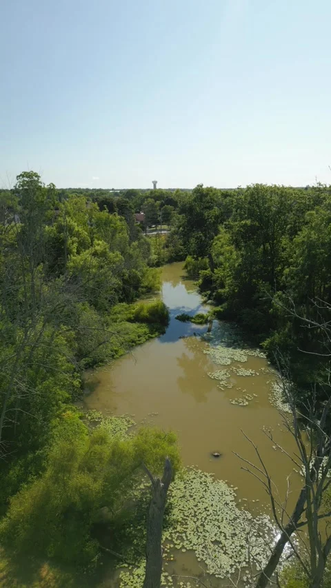 Drone fly right-to-left over pond with lily pads and surrounding trees Video stock 316659215