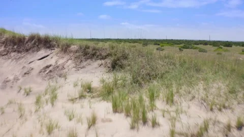 Drone fly from sand dunes to the beach Vidéo 200086546