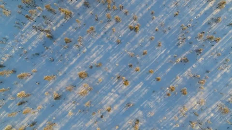 Drone fly sideways over desolate winter forest in Finland Stock Footage 275260586