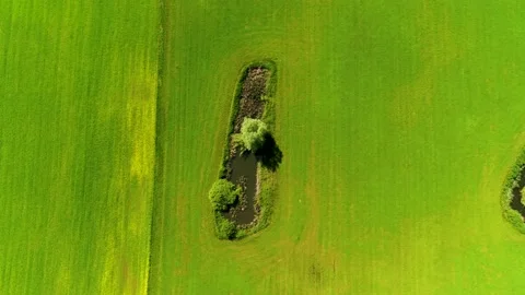 Drone fly sideways over green field 4K Stock Footage 237375110
