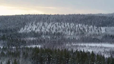 Drone fly sideways over winter forest in Finland on a cloudy day Stock Footage 275260671