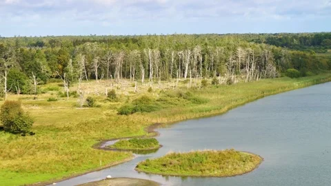 Drone fly slowly over lake towards a forest in summer Stock Footage 283072201