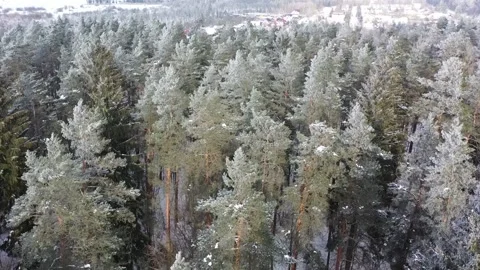 Drone fly in snowfall Stock Footage 148015491