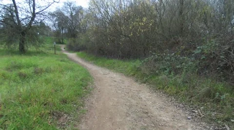 Drone Fly through of horse trail by river Stock Footage 49405430