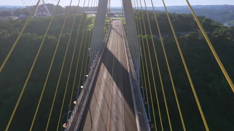 Drone Fly Through Integration Bridge at Triple Frontier Over Parana River 스톡 동영상 338082007