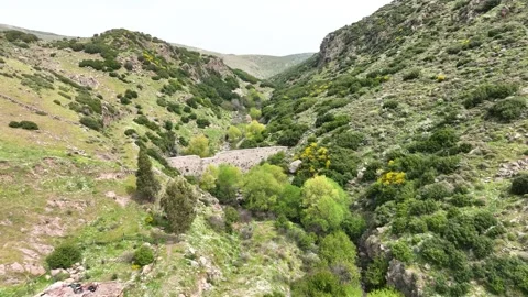 Drone Fly-Through of Lush Green Canyon Valley and Stone Wall Stock Footage 322221315