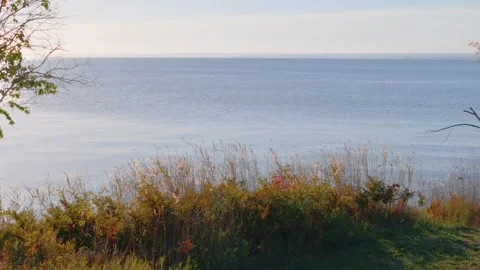 Drone fly through trees and sunset lake Stockbeeldmateriaal 287399323