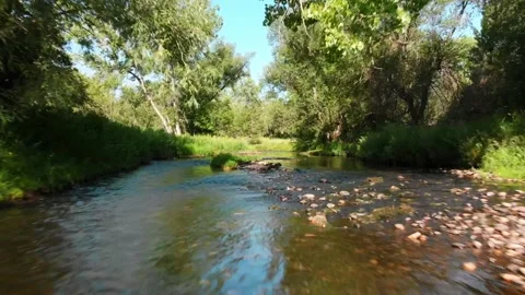 Drone Fly Through Trees Over River Video stock 229736364