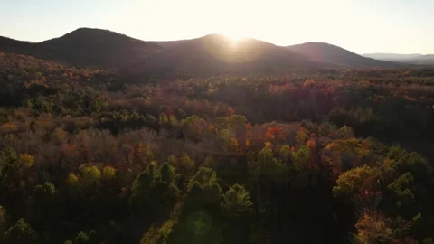 Drone Fly Towards Sun Flare Landscape Fall Foliage Trees Stock Footage 255753718