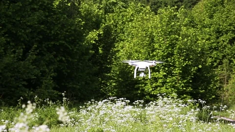  Drone fly with  turn in  front of green wood in summer time. Modern technologie Video stock 76798319