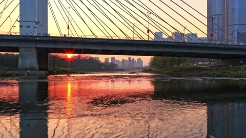 Drone fly under bridge. Aerial river view. City park background. Evening sunset. Video stock 333835391
