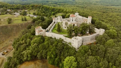 Drone flyaround of Tenczyn Castle Stock Footage 317833750