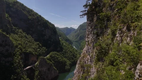 Drone Flyby Past Cliffside Tree to Reveal Deep River Canyon Gorge, 4K Vídeos de archivo 337180823