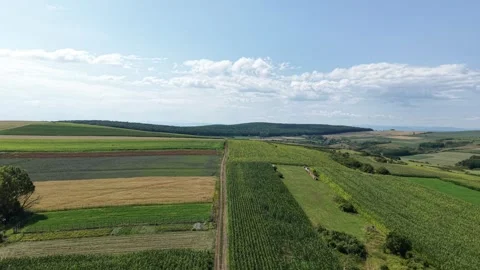 Drone flying above agricultural fields and rural road during summer 스톡 동영상 340824885