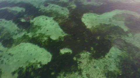 Drone flying above alona beach revealing a beautiful sunset Stockbeeldmateriaal 342575424