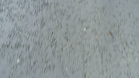 Drone flying above asphalt mountain road following white mid line. Tree shadows Stock Footage 119870852