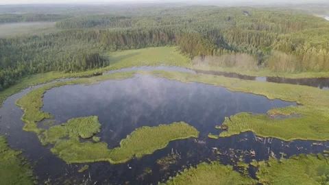 Drone flying above a beaver pond with morning mist and surrounded by a green Stock Footage 328171729