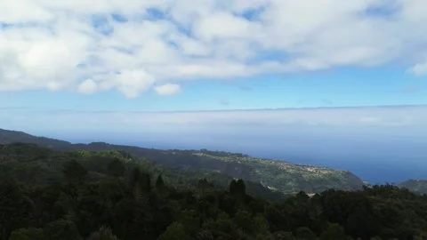 Drone Flying Above Cloud-Covered Forest in Madeira, Portugal - Aerial 4K Stock Footage 311435209
