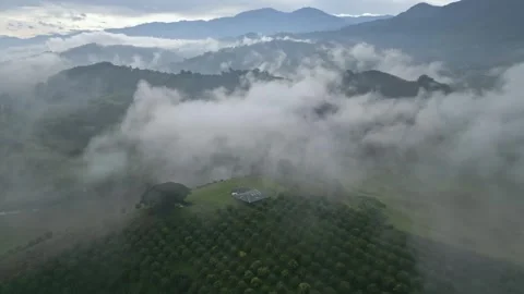 Drone flying above clouds over green valley with mountains in the far distance Video stock 240961493