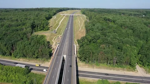 Drone flying above elevated forest roadway Stockbeeldmateriaal 321707899