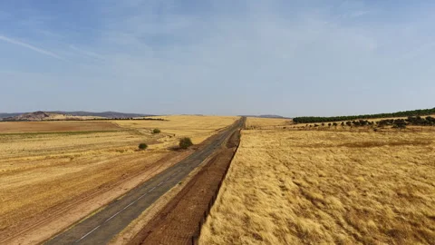 Drone flying above empty road through La Mancha plains near Consuegra, Spain Vidéo 331637531