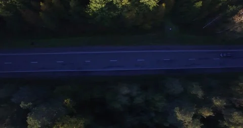 Drone flying above endless green treetops dense woods forest in morning  Stock Footage 96207477
