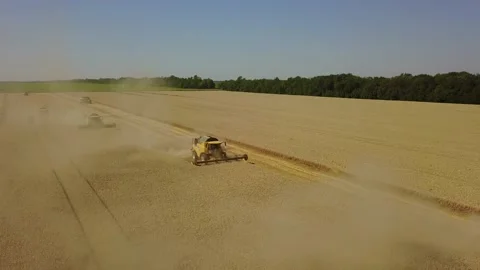 Drone flying above the field of wheat shooting summer harvesting Video stock 120169982