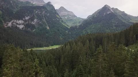 Drone flying above fir trees toward Voralpsee and Swiss Alps Stock Footage 339645410