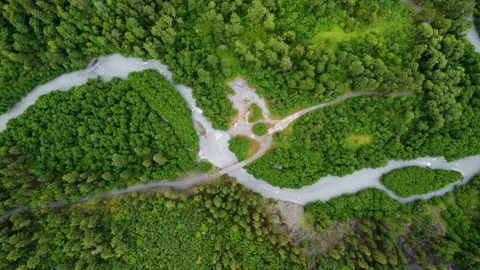 Drone flying above the forest river with off-road path that crosses it Stock Footage 229836412