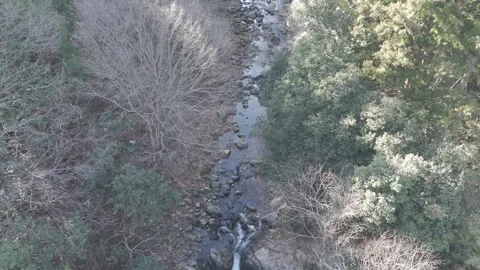 Drone Flying Above Forest Stream with Downward Angle View – 4K Nature Shot Stock Footage 325408672