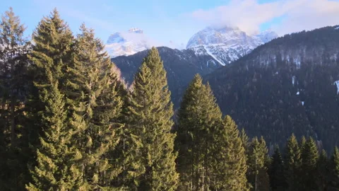 Drone flying above the high forest trees, amazing panorama of Swiss Alps in Stockbeeldmateriaal 228591818